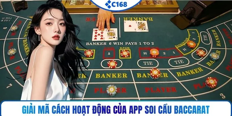 Giải mã cách hoạt động của app soi cầu baccarat